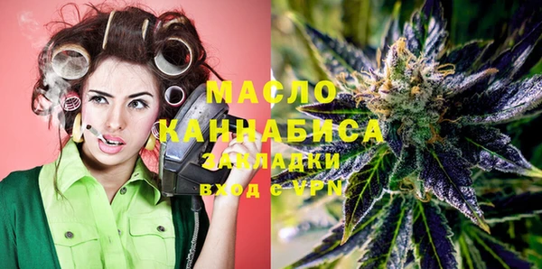 гашик Няндома