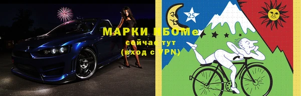 гашик Няндома