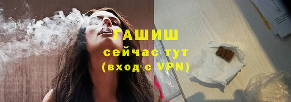 гашик Няндома