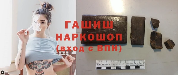 гашик Няндома