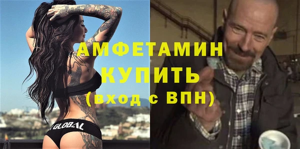 гашик Няндома