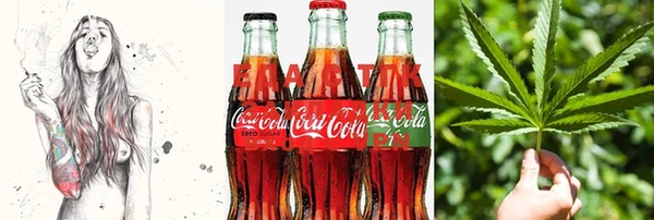 гашик Няндома