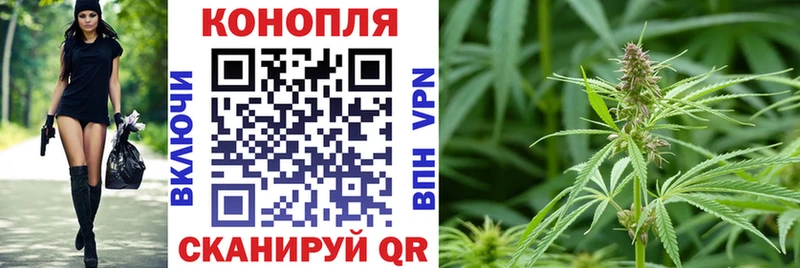 Бошки марихуана OG Kush Жуковский